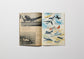 New Airplane/1951