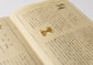 Dyeing record of Indigenous Japanese Plants and Trees / 日本固有草木染色譜