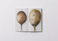 Unusable spoon/Takemata Yuichi