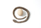 Snake and egg