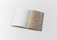 Picture books before they became picture books/Arai Ryoji