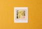 Original postcards delivered with original stamps/Arai Ryoji (5 disc set)