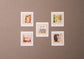 Original postcards delivered with original stamps/Arai Ryoji (5 disc set)