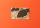Sugiura Nomizu design postcard