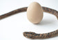 Snake and egg