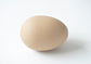 Snake and egg
