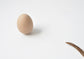 Snake and egg