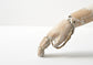 Bunraku doll's left and right hands