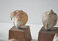 Painter's clay doll