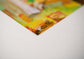 Arai Ryoji Original Art «Picture Book Before It Became a Picture Book» op.16