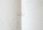 White Vessels/Gumoto Masaru Coobon Chan