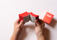 BOOK MANIFEST/Irma Boom
