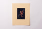 Serizawa Kei's book collection
