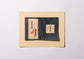 Serizawa Kei's book collection