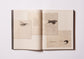 The codices of the masters/The ultimate book