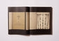 The codices of the masters/The ultimate book