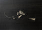 Artistic Photography Collection by an Unknown Photographer