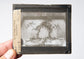 Glass film plate