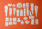 Ogasawara Style Noshi Folding Specimen