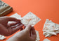 Ogasawara Style Noshi Folding Specimen