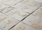 Origata samples from Tajima
