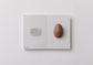 egg ＜postcard book＞ / 澄敬一［プレオーダー/11月上旬発送］