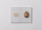 egg ＜postcard book＞ / 澄敬一［プレオーダー/11月上旬発送］