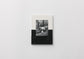<tc>Little Ones / Yasuhiro Ishimoto</tc>